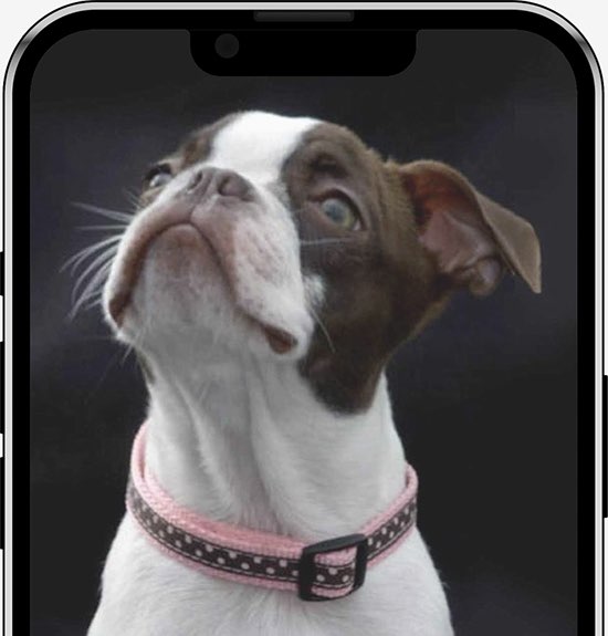 Turn Your Photo Into a Painting